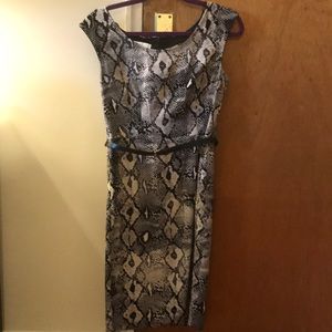 London Times size 8 snake print dress with belt